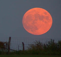 harvest_moon-250x235.jpg