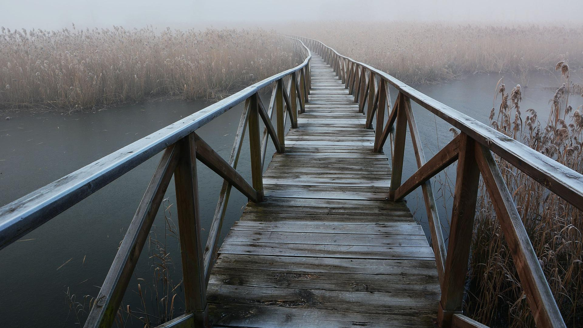 wooden bridge in fog 