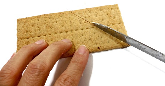 A hand holding a Graham cracker that is cut with a serrated knife. 