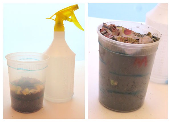 Food is placed between layers of a plastic pot filled with soil