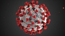 SARS-CoV-2, the virus that causes COVID-19, is spherical with spike proteins sticking out ofom the viral envelope. 