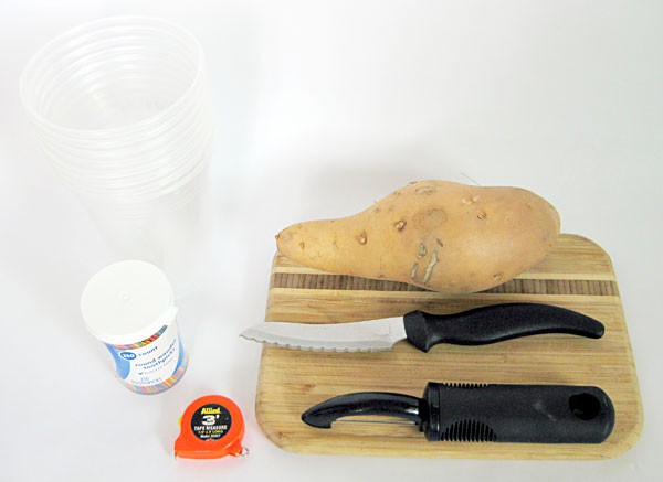 Plastic cups, toothpicks, tape measure, knife, peeler, sweet potato and a cutting board