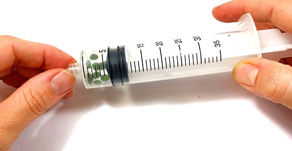 Hands holding a syringe that has 10 leaf disks inside.