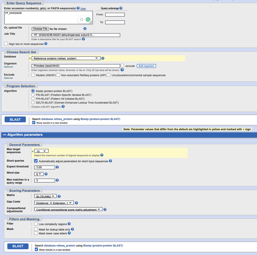 Screenshot of a nucleotide BLAST search box on the website ncbi.nlm.nih.gov