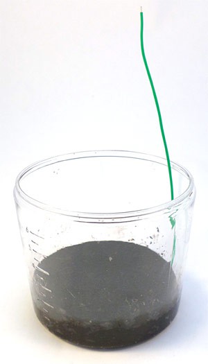 An anode pad rests on a thin layer of mud in a cup
