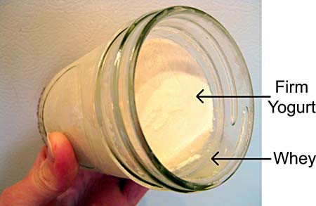 Yogurt solids and liquids separate in a glass jar