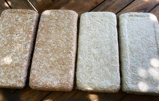 Four Mycelium composite panels