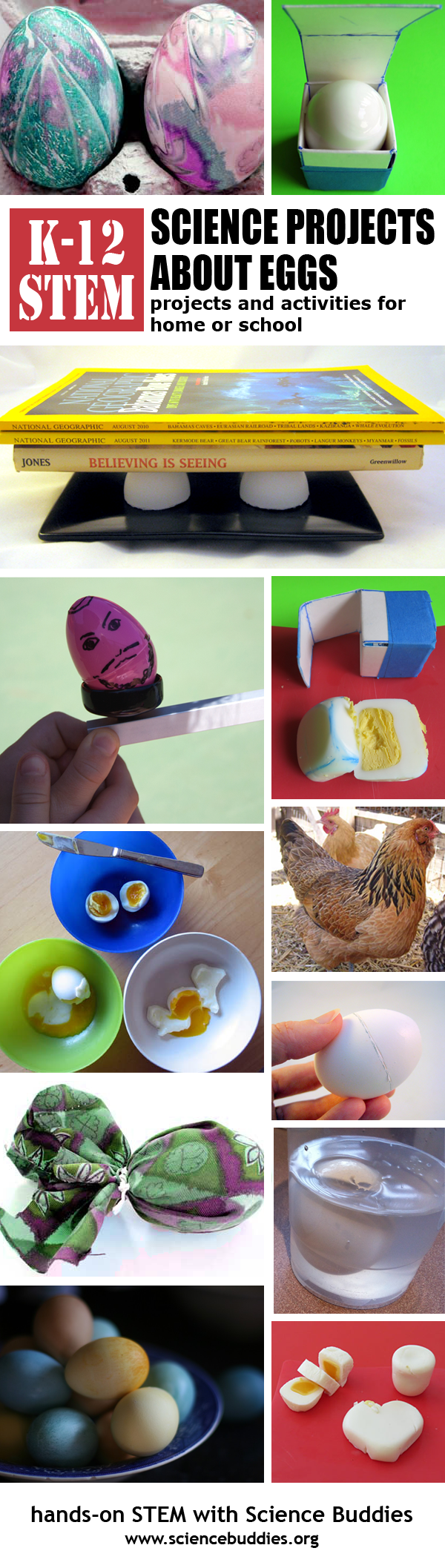 Photo collage of science experiments revolving around eggs