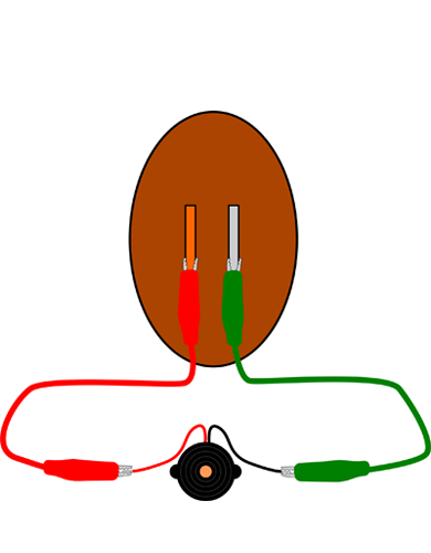 Drawing of two alligator clips connect a copper electrode to the positive lead and a zinc electrode to the negative lead of a buzzer