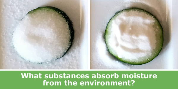 see which ingredients do the best job of drawing water from the cucumber / Family Science Activity