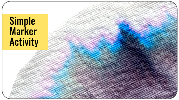Partial view of paper towel marker chromatography