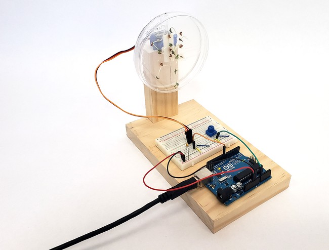 Petri dish with germinated seeds mounted to a rotating motor on a piece of wood, controlled by an electronic circuit with an Arduino 
