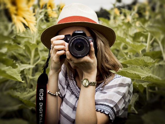 woman with camera in sunflower fields