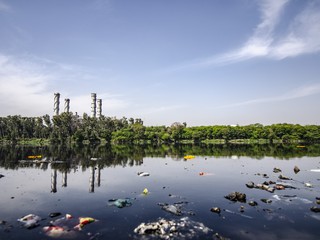 garbage in water