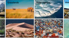 Photo collage of eight types of habitats: Mountains, grasslands, polar, wetlands, rainforests, deserts, urban and marine
