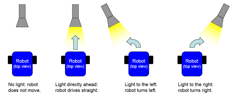 Diagram of a light-following robot using light sensors to turn or remain on a straight path