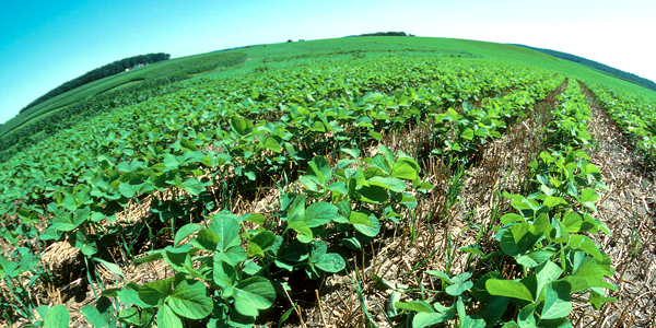 No-till farming