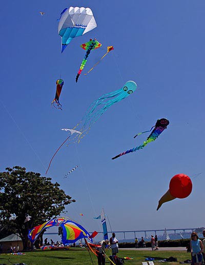 Photo of multiple kites flying in the air