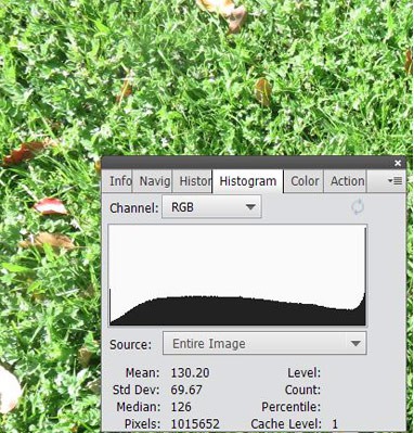 An image histogram for the color channel RGB is overlaid on a photo of grass