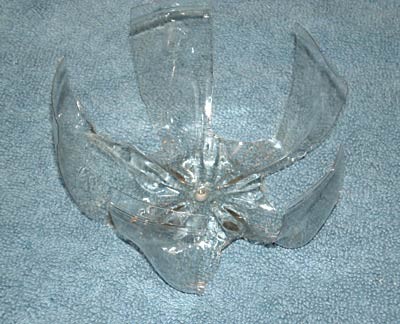 The bottom of a plastic bottle is cut to resemble a starfish with arms curled upwards