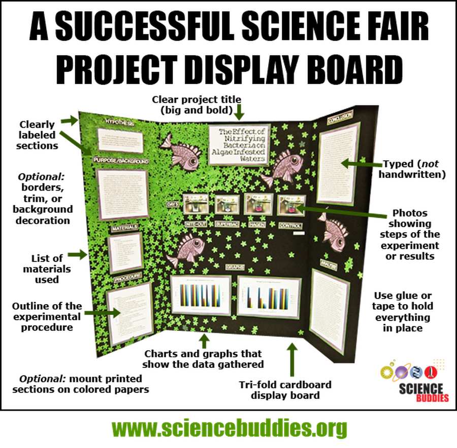 Mastering the Project Display Board | Science Buddies Blog