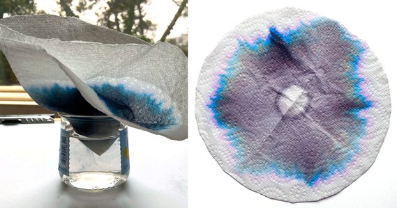 A paper towel with ink on it in a glass of water for a marker chromatography experiment and a circle of paper towel with dried ink chromatography of black marker ink