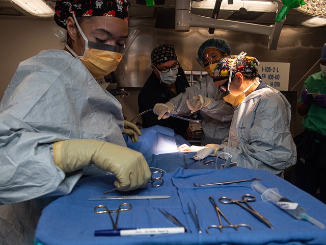 Navy surgical technician handing surgical team instruments during an operation. 
