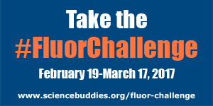 Fluor Engineering Water Flow Challenge