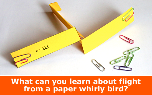 Explore Aerodynamics of Flights with a Paper Whirly Bird Helicoopter / Physics family STEM activity