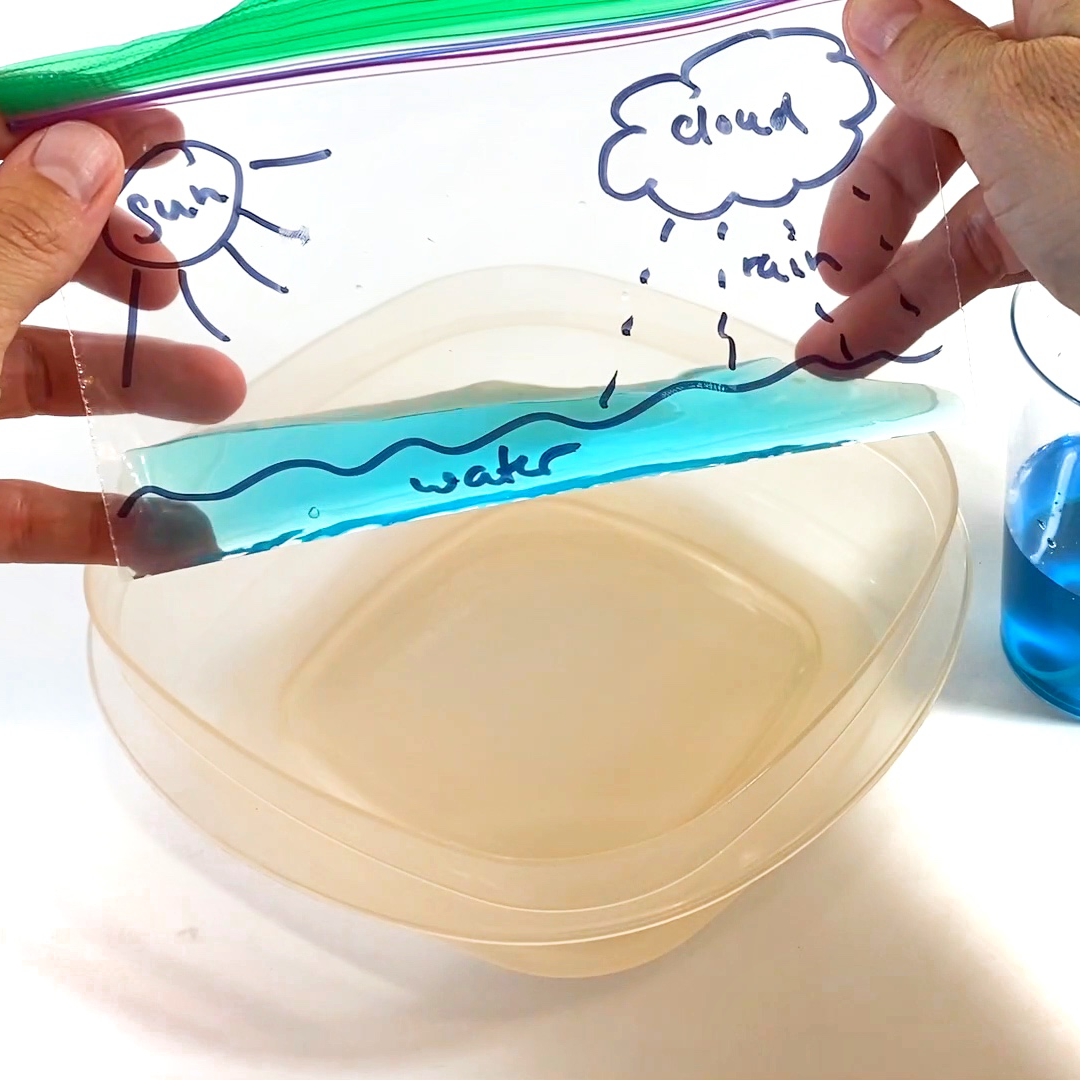Model Water Cycle in a Bag