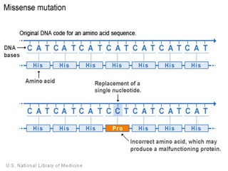 mutation chart