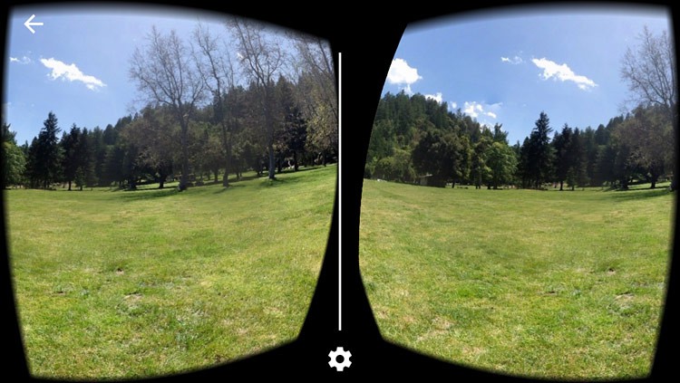 Stereoscopic image of trees near a field of grass