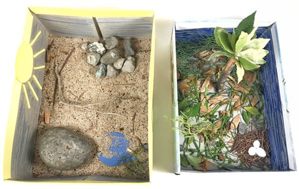 miniature real-life habitat for an animal examples