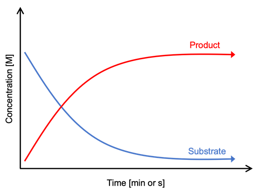  Graph showing the concentration of reaction products and substrates over time.  