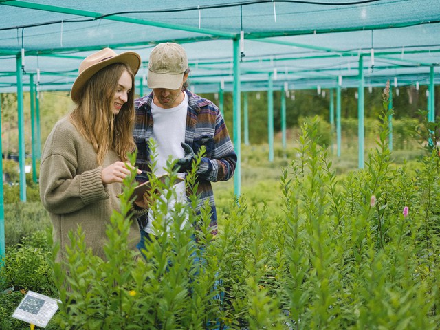 technicians in a roww of plants