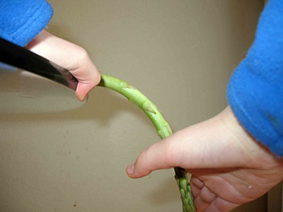 A stalk of asparagus is held at the base and bent downward from the tip