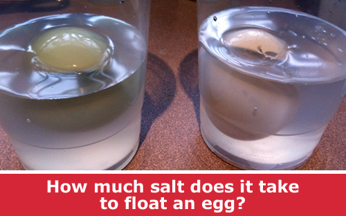 Ocean sciences density and salt water project to make an egg float / Hands-on science STEM experiment