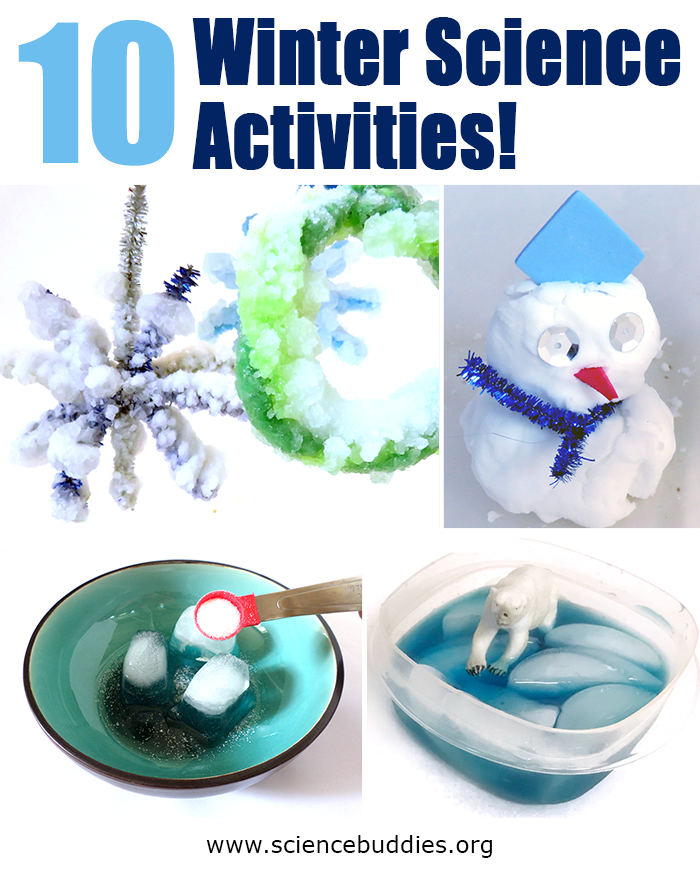 Photo collage of four winter and ice themed science projects