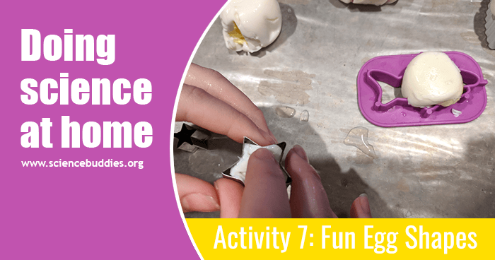 Student pressing hard-boiled egg into a cookie cutter for molding eggs shaping activity