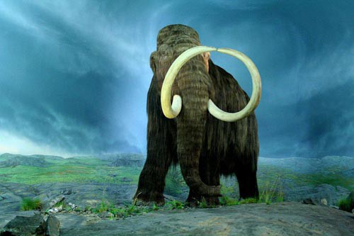 Drawing of a woolly mammoth