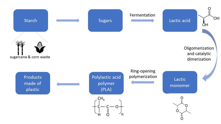 A flow chart of how sugarcane and corn waste are made into products made of bioplastic. 