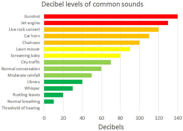 Bar graph displays the decibel levels of common sounds