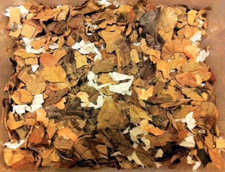 A bin filled with dried leaves, paper towels, and cardboard