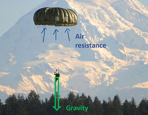Photo of a skydiver where gravity pulls the skydiver downward and air resistance pushes the parachute upward