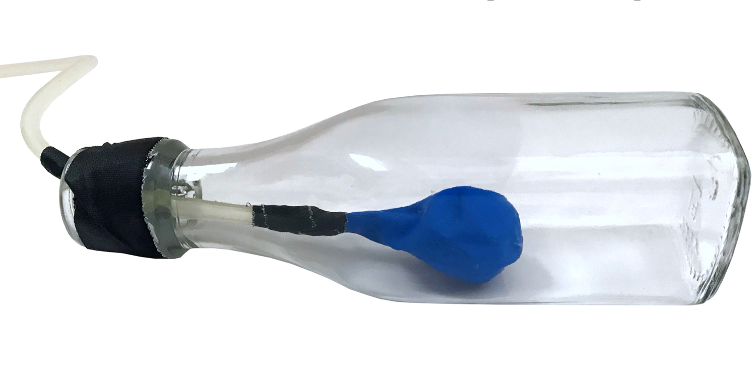 Balloon in a bottle as part of a model swim bladder