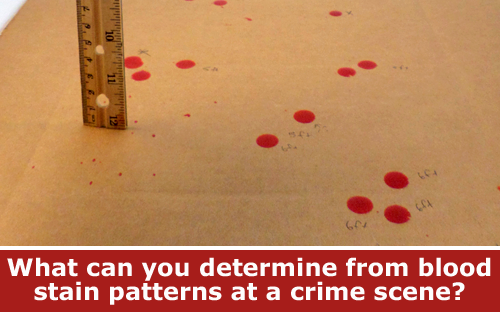 Learn what blood stains reveal in a crime scene physics project / Hand-on STEM experiment