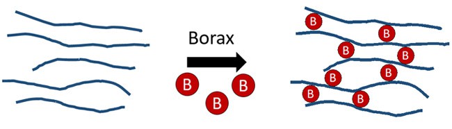 Drawing of borax molecules forming crosslinks between long, skinny polymer chains