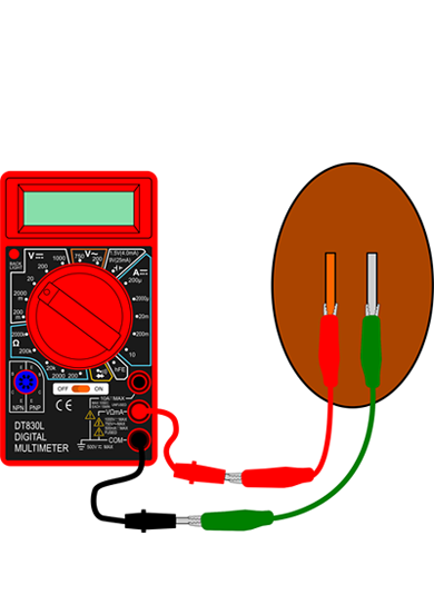 Drawing of Two alligator clips connect the leads of a multimeter to a zinc and copper electrode in a potato