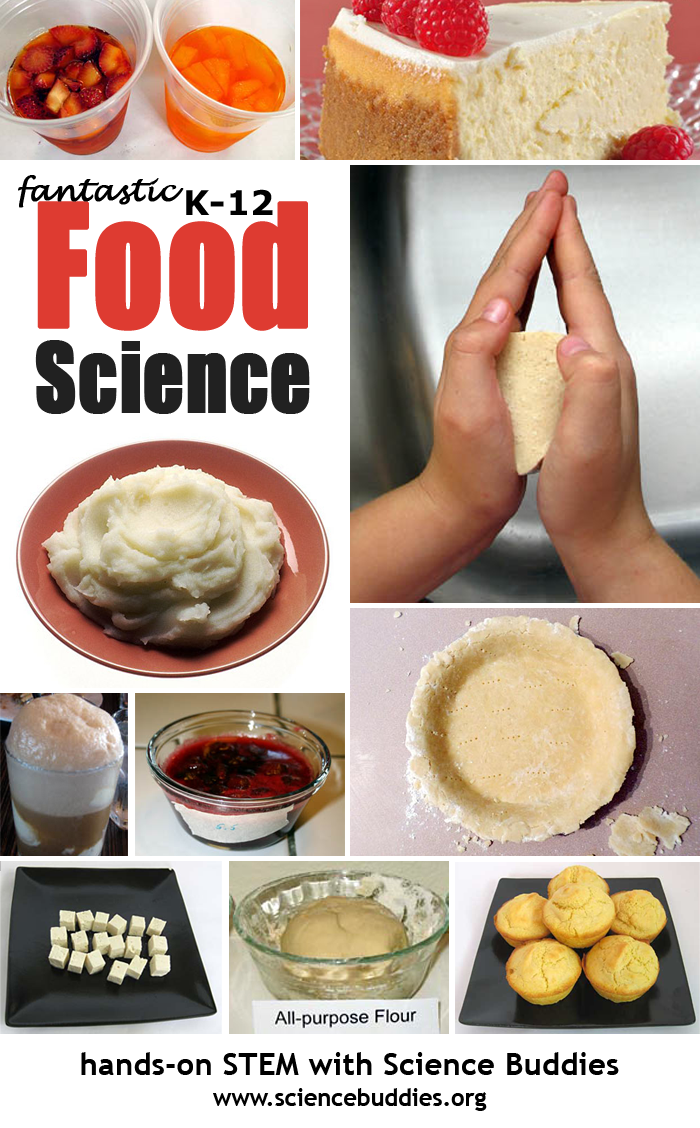 Food Science Projects for K-12 Students