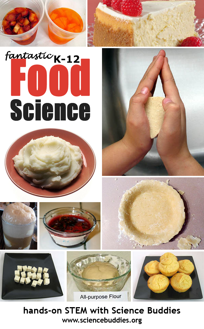 food science research project ideas